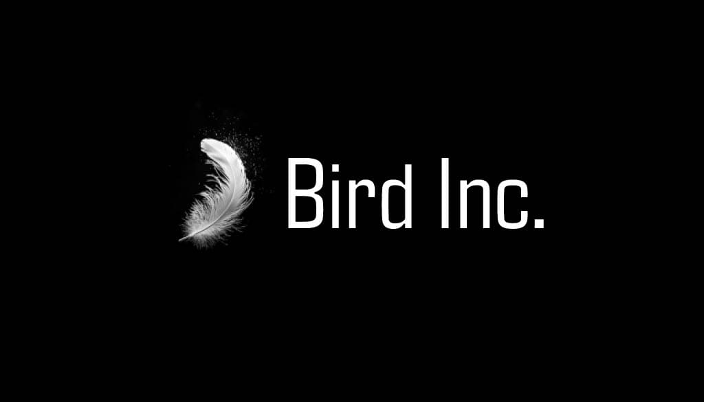 Bird Inc team formation